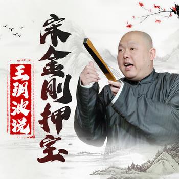 王玥波：宋金刚押宝有声小说