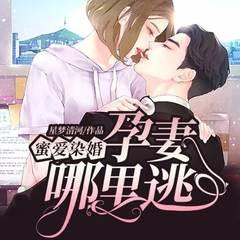 蜜爱染婚：孕妻哪里逃(多人剧)有声小说