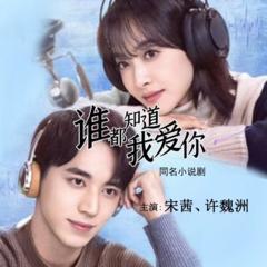 谁都知道我爱你(多人剧)有声小说