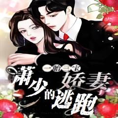 一胎两宝：萧少的逃跑娇妻(多人剧)有声小说