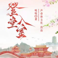 登堂入室有声小说